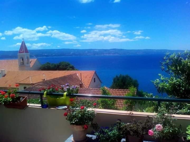 Judita Omiš Εξωτερικό φωτογραφία